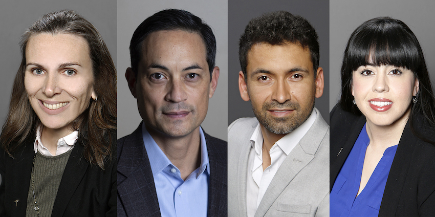 Faculty Fellows